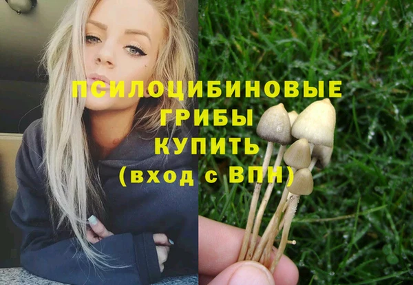 метадон Алексин