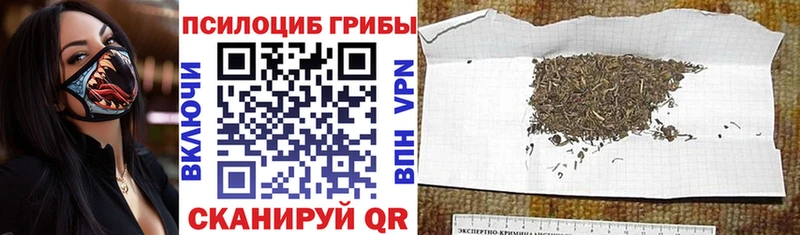 площадка формула  где купить наркоту  Узловая  Галлюциногенные грибы Magic Shrooms 