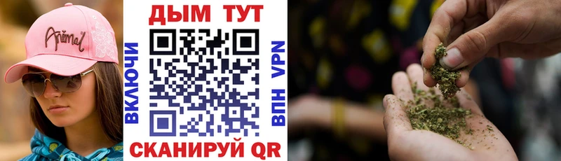 MEGA ТОР  Узловая  Бошки Шишки индика 